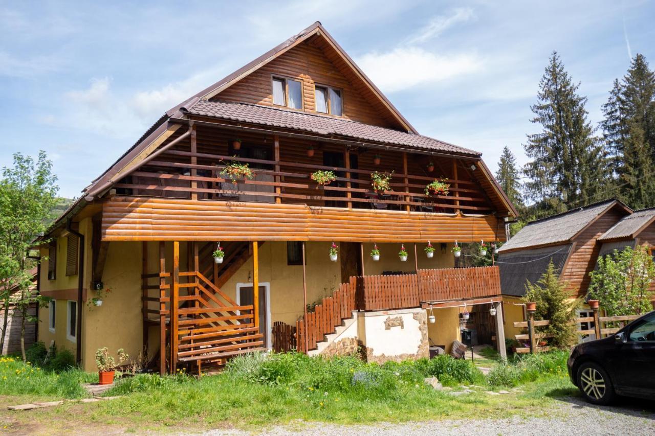 Pensiunea Viorica Arieseni Exterior photo